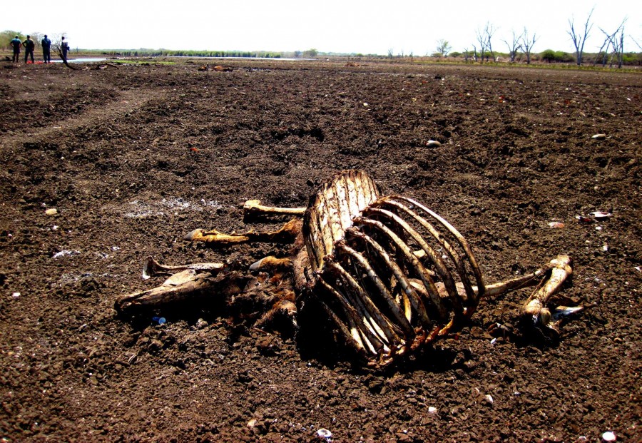 Drought South Africa