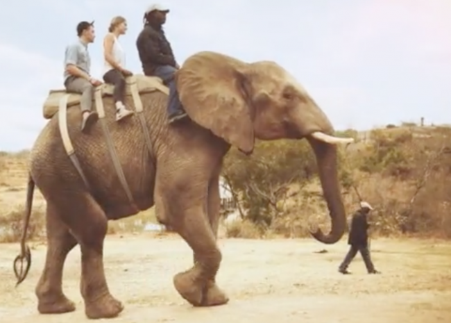 Elephant riding in Africa