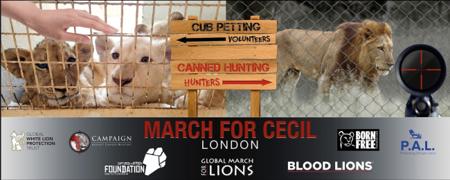 March for Cecil lion, London