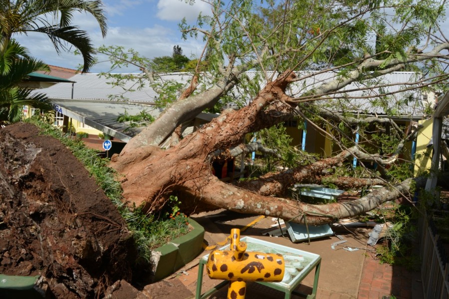 PUPILS of St Catherine’s pre-school in Empangeni have escaped unscathed after strong winds resulted in a huge tree collapsing on one of the classrooms. Source: Zululand Oberver Facebook page.