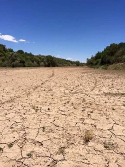 Drought South Africa