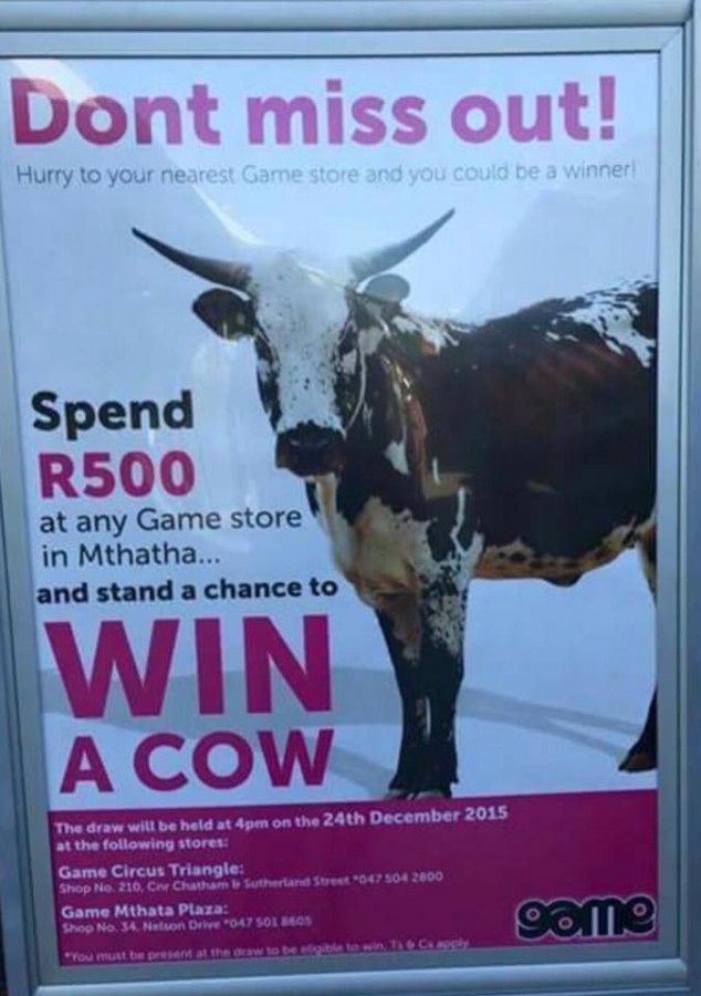 Win a cow in South Africa