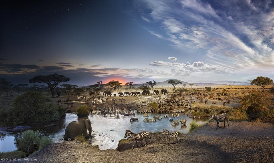 Day to Night Serengeti