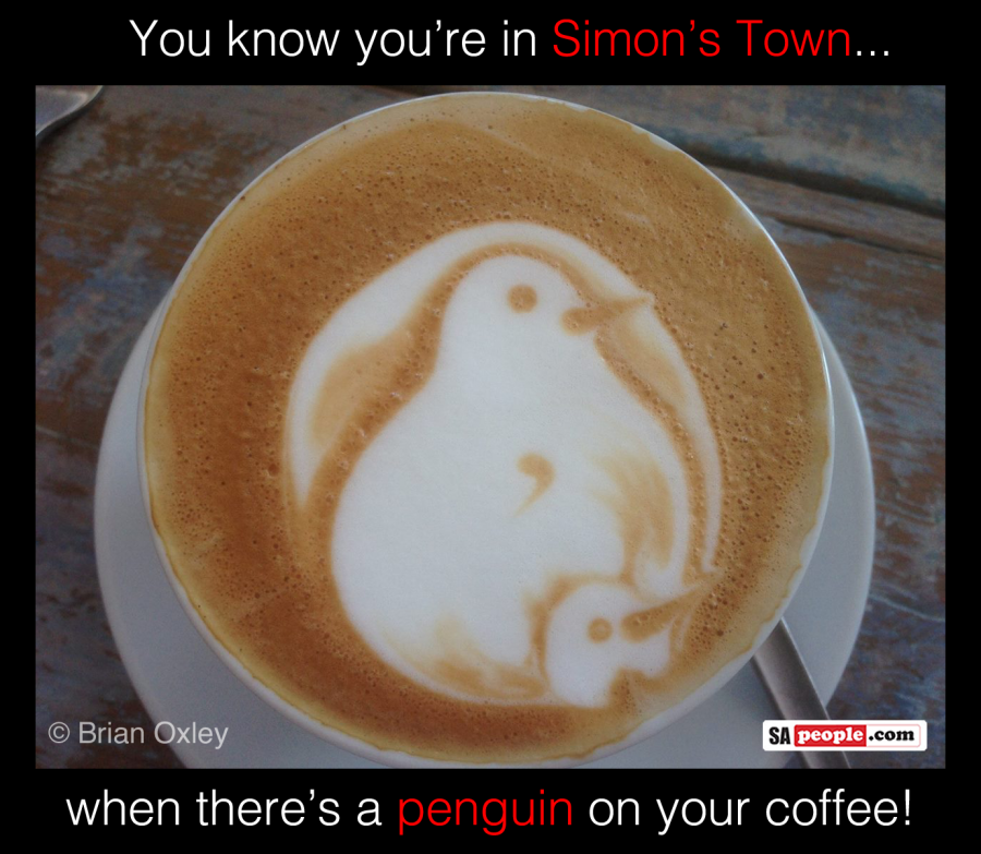 Penguin coffee in Simon's Town