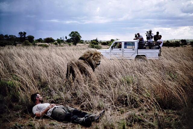 Kevin Richardson and lion