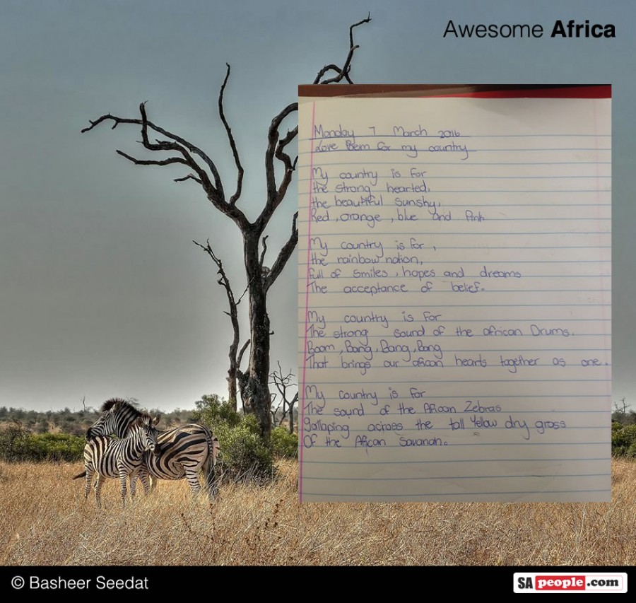 Love letter to South Africa with zebra