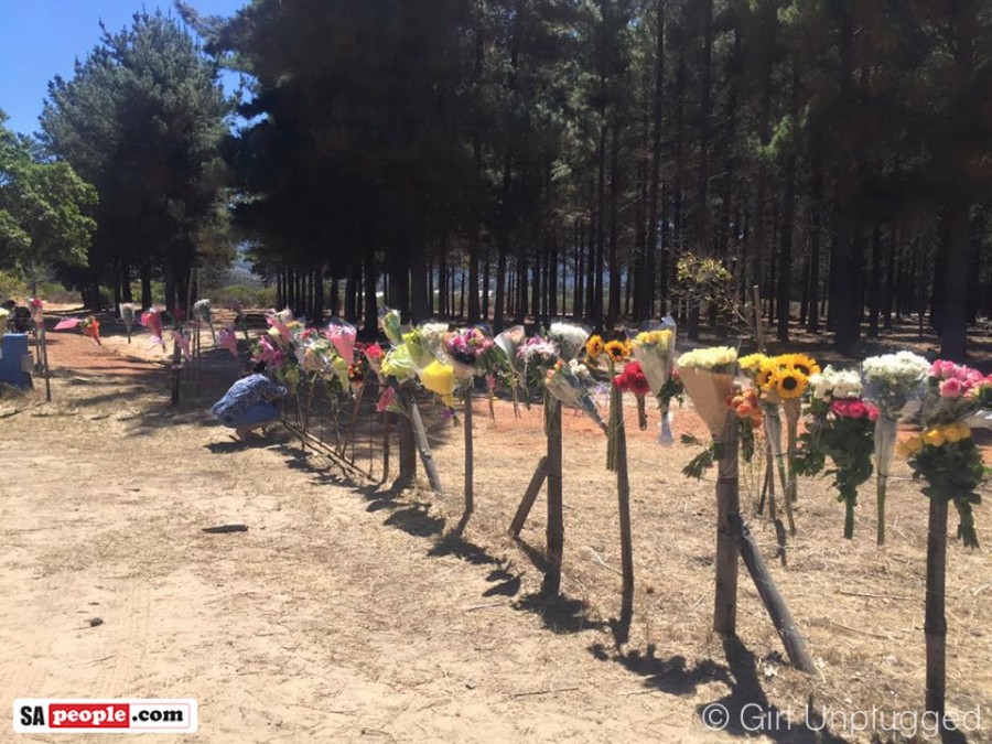 Tribute for murdered teenager in Tokai forest
