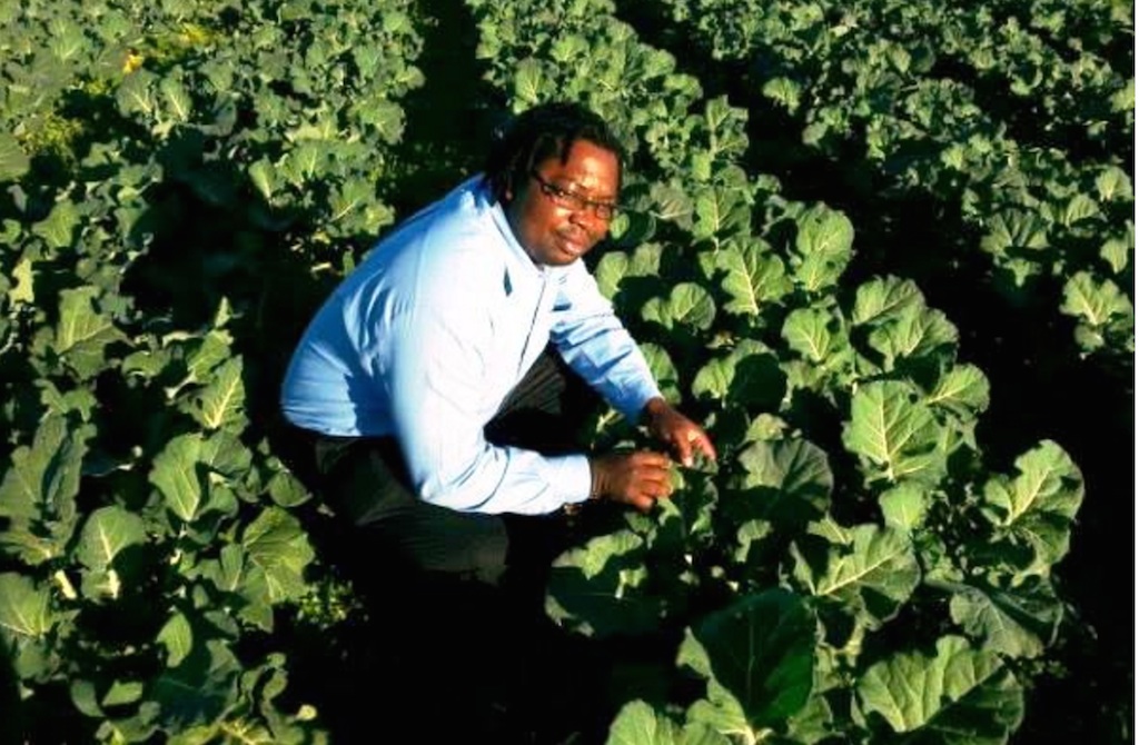 zimbabwe farmer