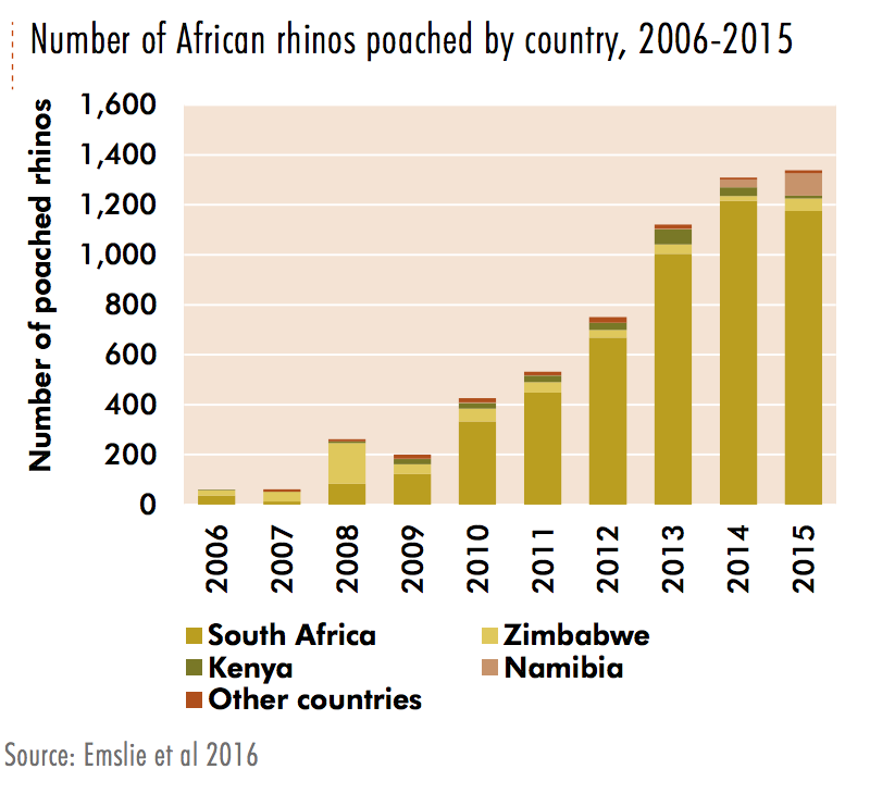Increase in number of African rhino poached - statistics