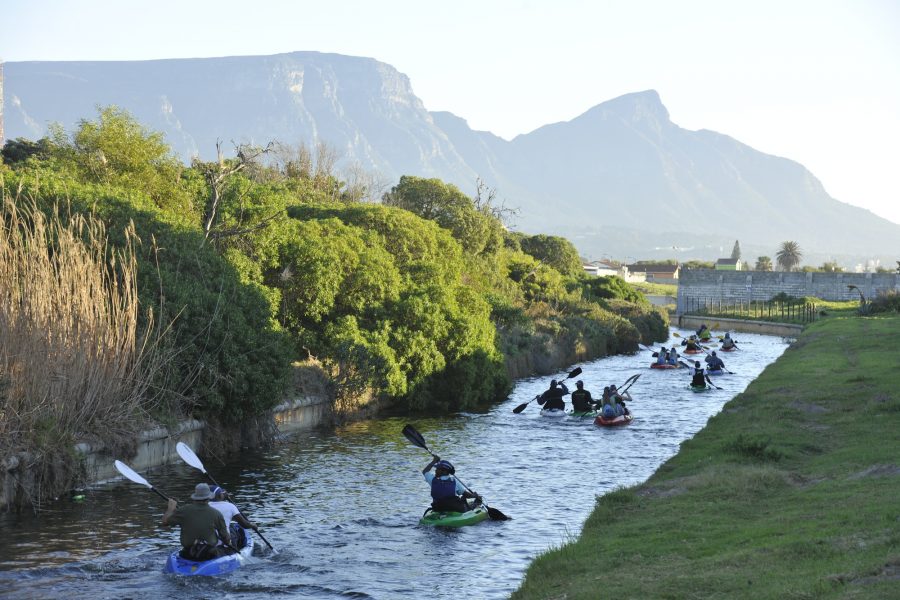 paddlers cape town