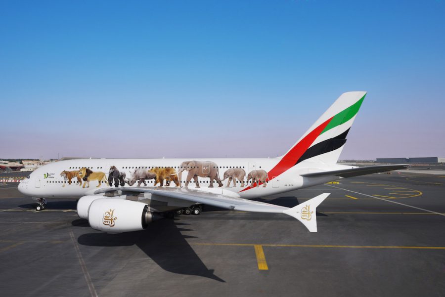 Emirates wildlife livery