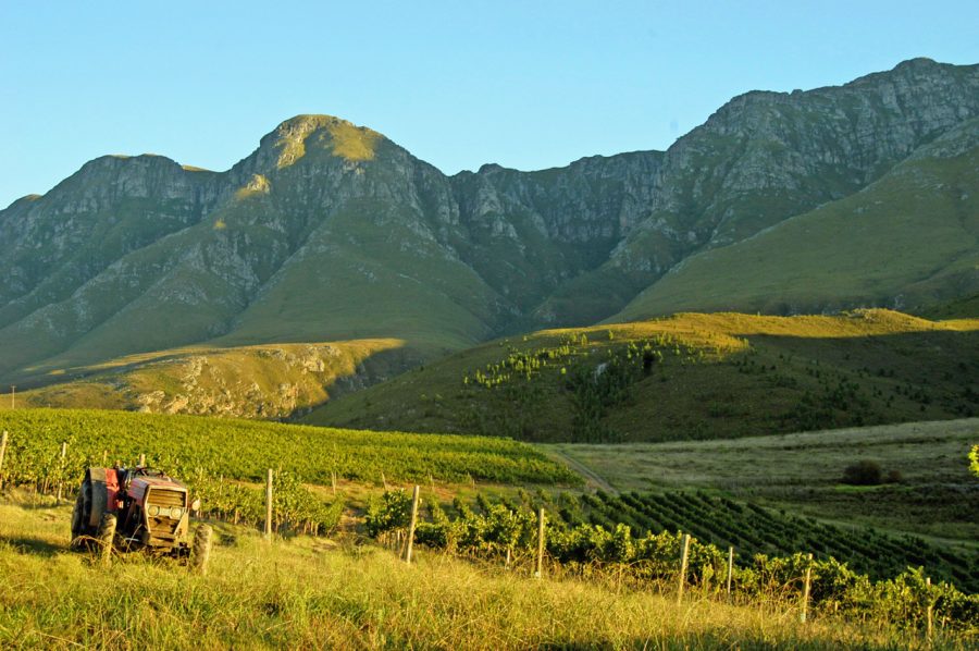 Lismore Estate Vineyards sits on the outskirts of Greyton, at the base of the Riviersonderend mountain range. Credit: Courtesy of Lismore Estate Vineyards