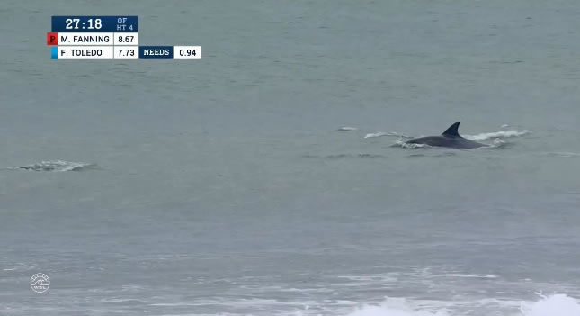 Dolphins in the quarter finals of J-Bay Open