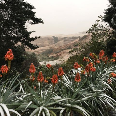 drakensberg-snow