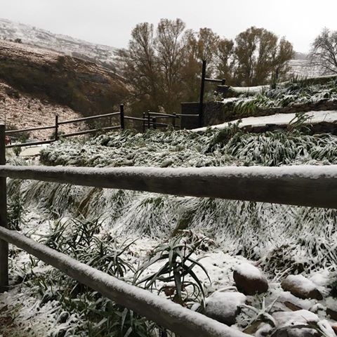 drakensberg-snow4