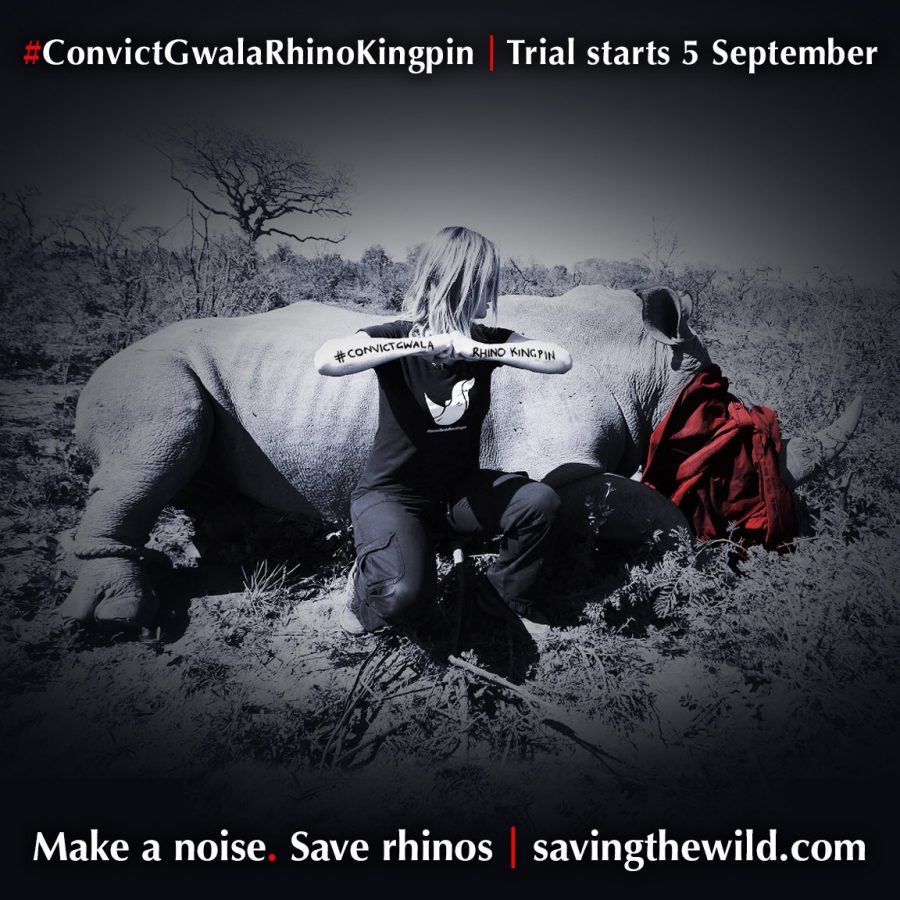 Convict rhino killers