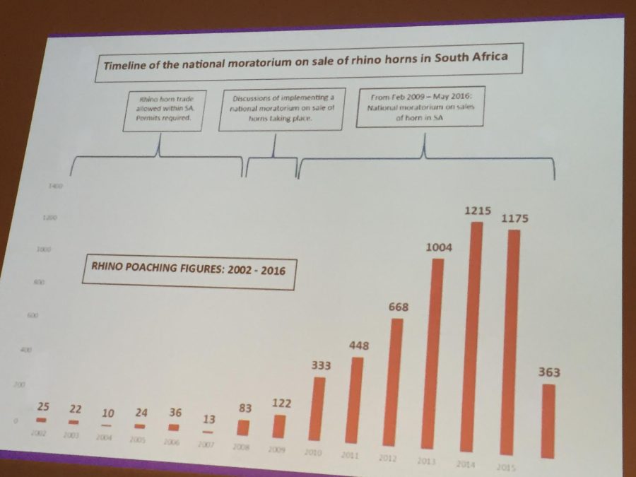 Rhino poaching statistics