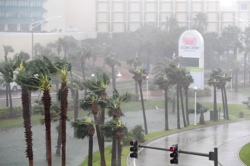 Rain batters palm trees in front of the Ocean Center as the eye of Hurricane Matthew passes Daytona Beach, Florida, U.S. October 7, 2016. REUTERS/Phelan Ebenhack