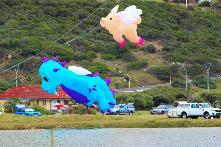 kite-festival-south-africa-3