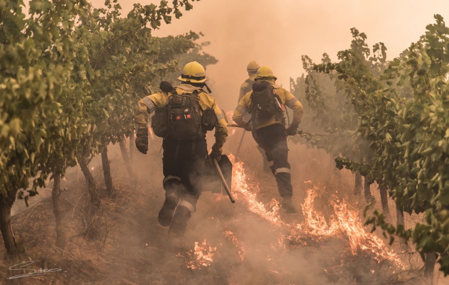 firefighters-in-winelands