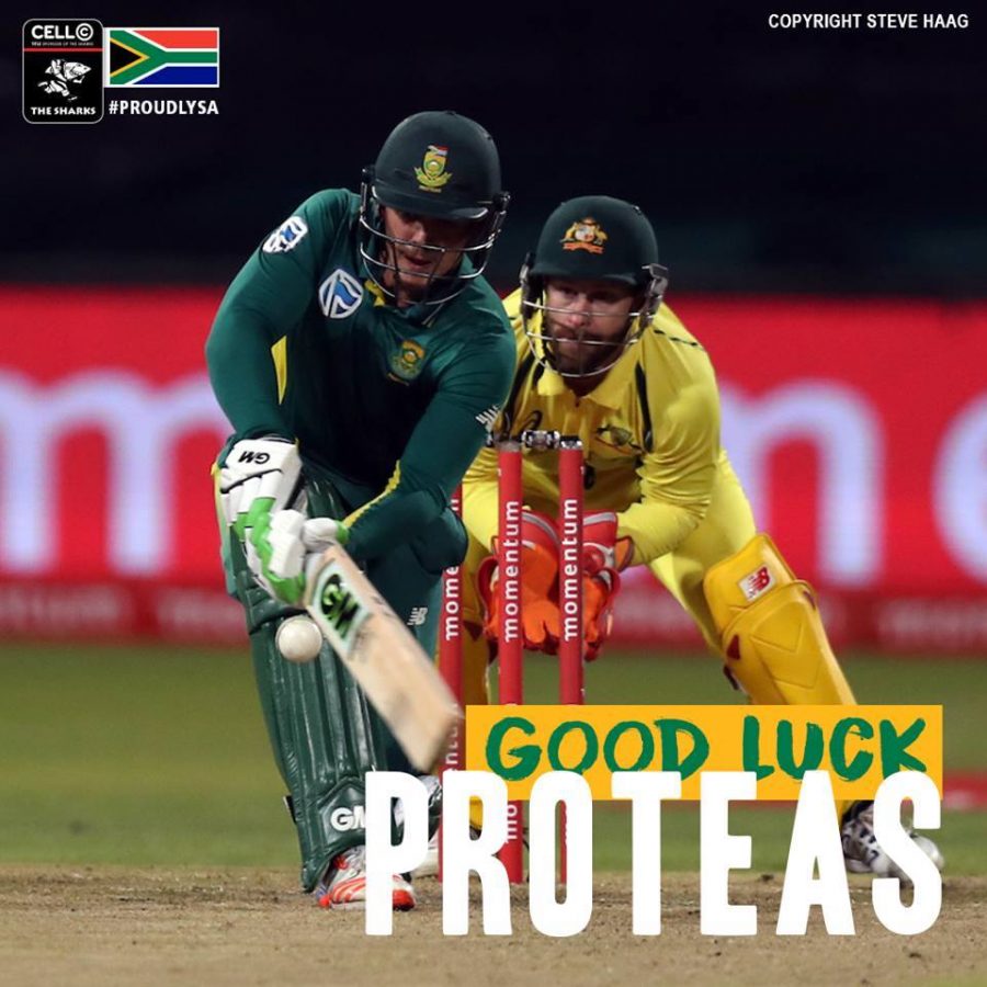proteas-good-luck