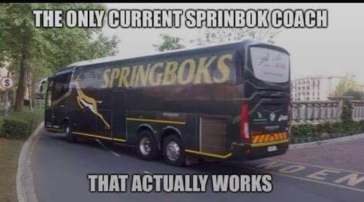 springbok-coach