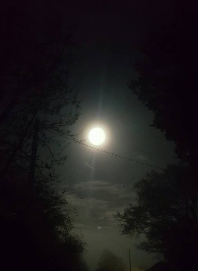Wendy Jayne - "Super moon at Waseley hill top, UK."