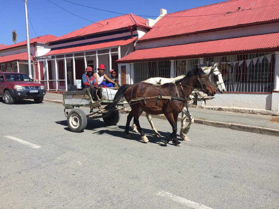 richmond karoo