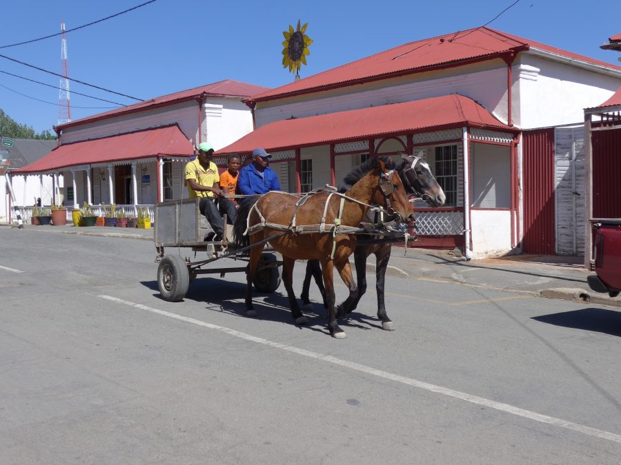 richmond karoo