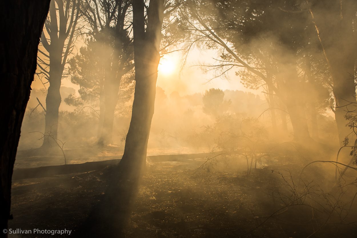 somerset west fire 