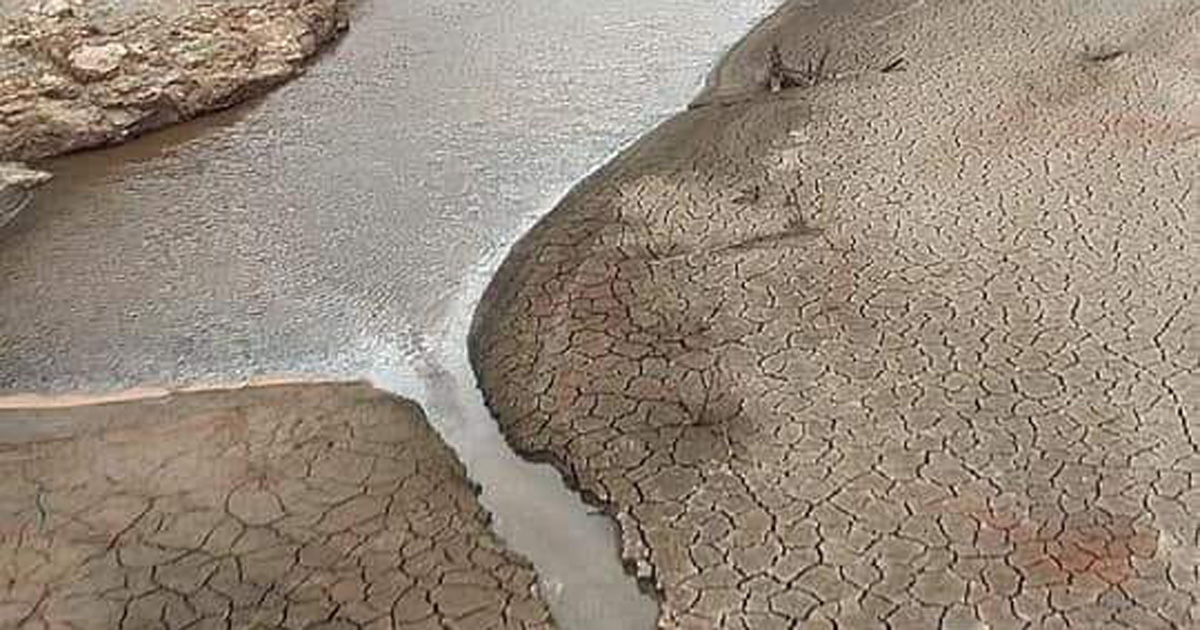 Nelson MAndela Bay drought.