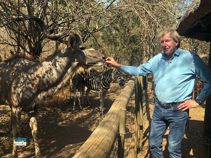 Carte Blanche Investigates Over 40 Dogs Poisoned in 1 Night. What's On