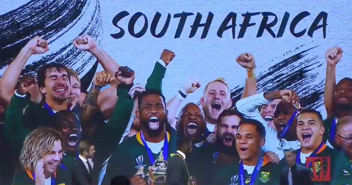 springboks-rugby-world-cup-team-of-the-year