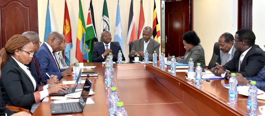 Deputy President David Mabuza meets with the InterGovernmental Authority on Development (IGAD) Special Envoys to South Sudan. The aim of the meeting was to discuss the proposals towards taking the ongoing process of bringing peace to South Sudan forward. (Photos: GCIS)