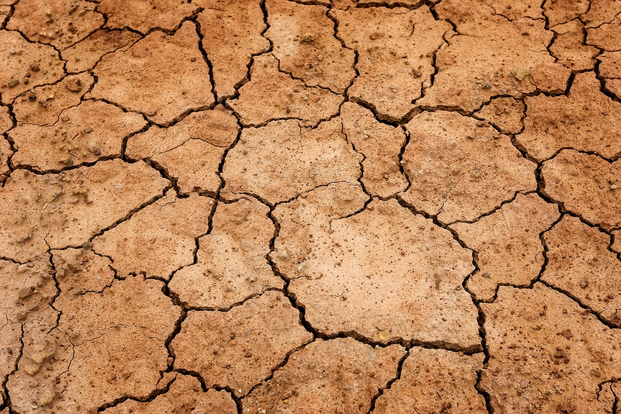 drought northern cape disaster area
