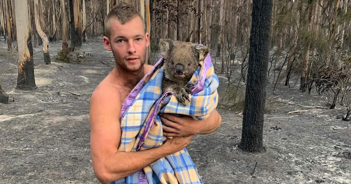 australian hunter patrick-boyle-rescue-koalas-australiapatrick-boyle-rescue-koalas-australia