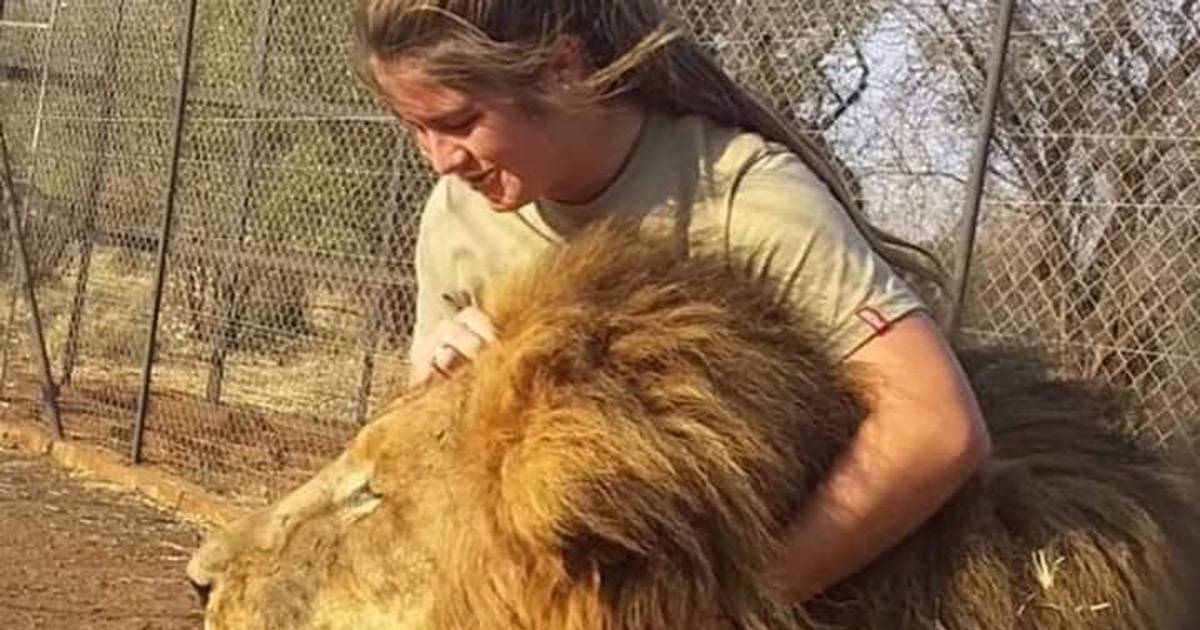 woman killed by lions south africa
