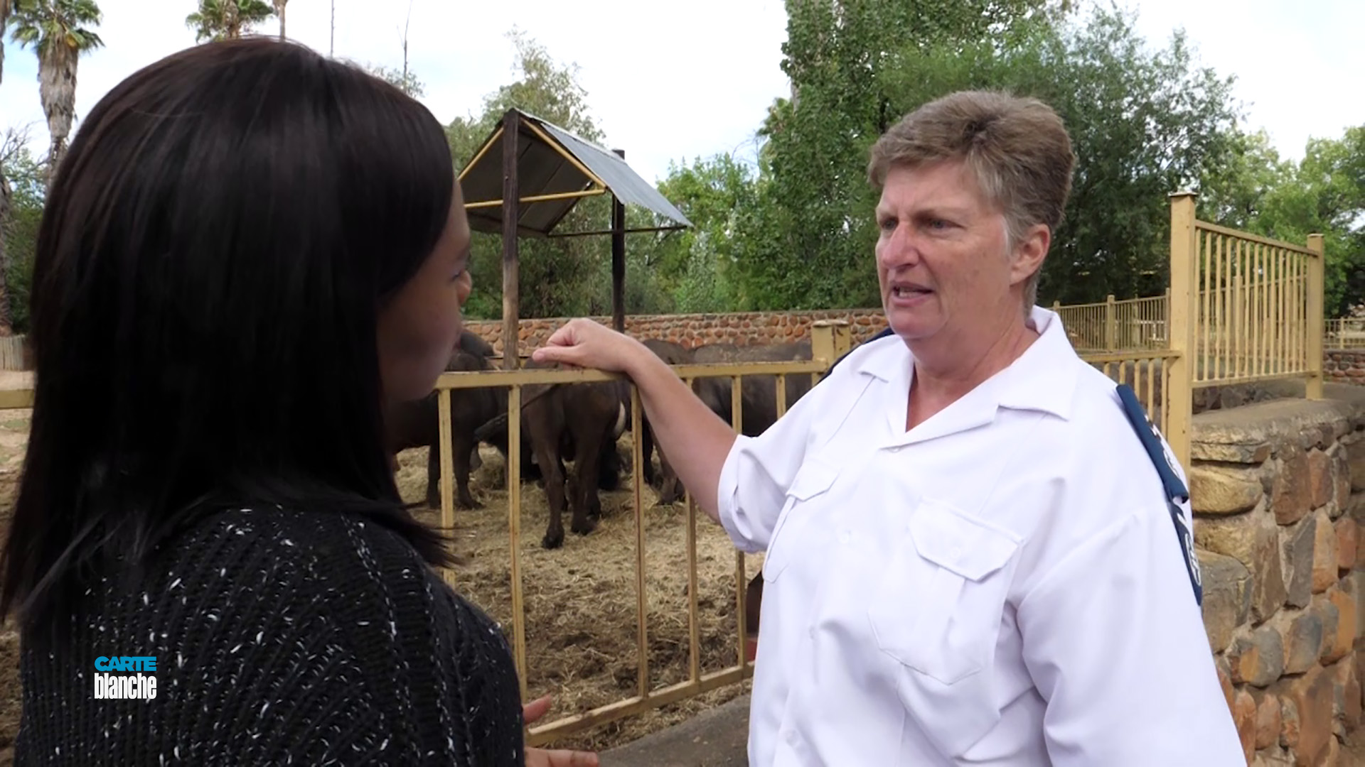 Carte Blanche Investigates Bloemfontein Zoo as Animals Begin Their "Forever Happy" New Lives