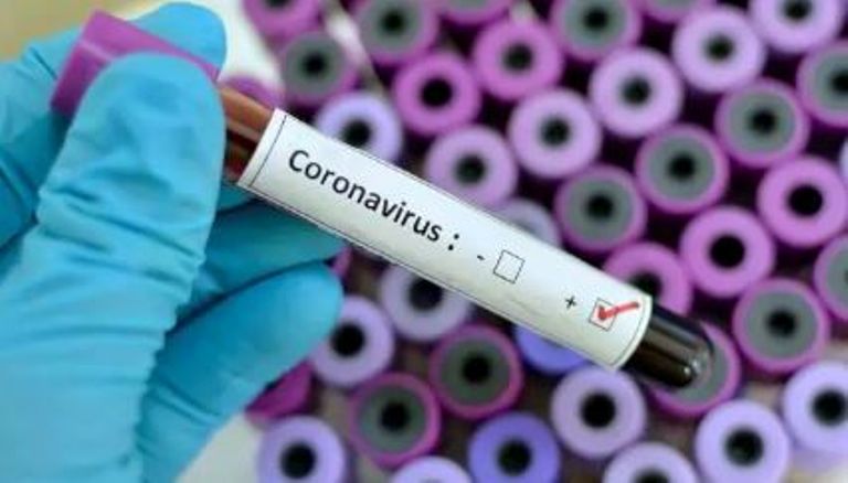 corona virus south africa update