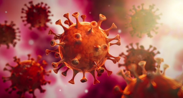 coronavirus update south africa