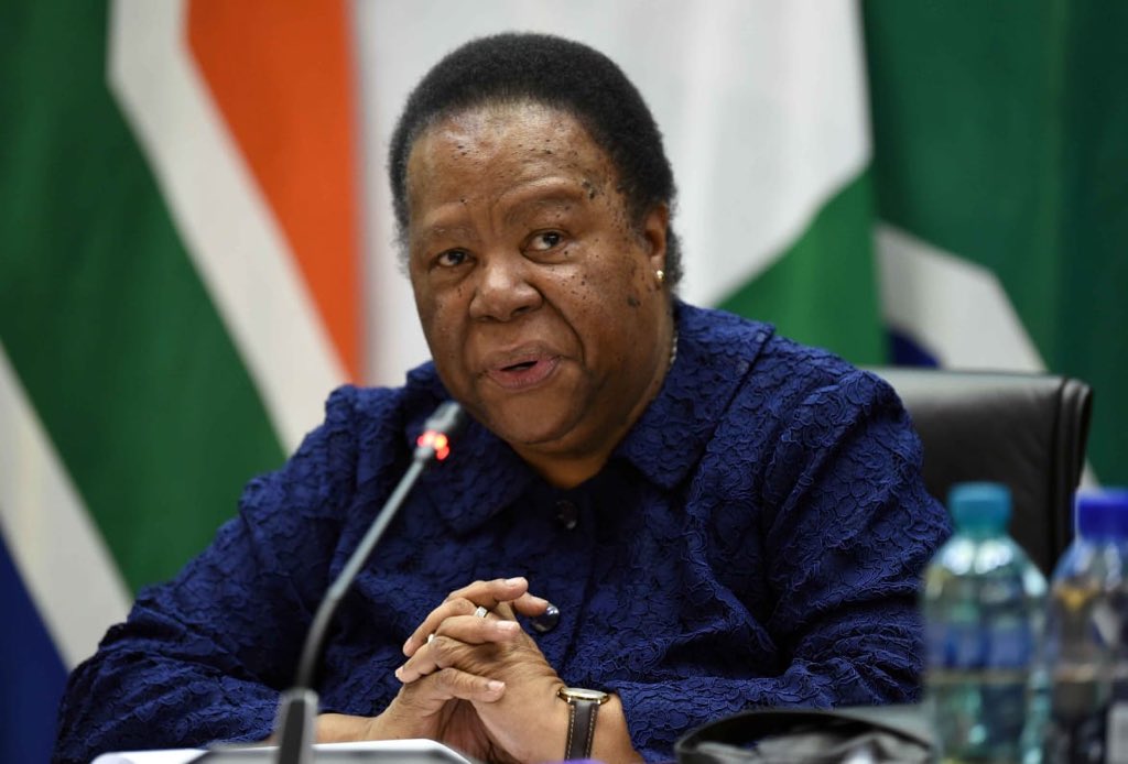naledi pandor on south africans stranded abroad