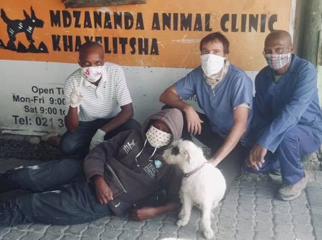 animal clinic robbed gunpoint south africa