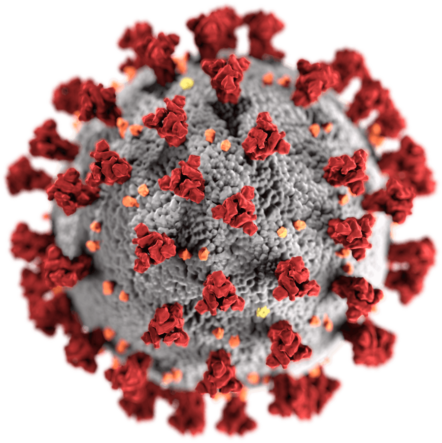 Coronavirus