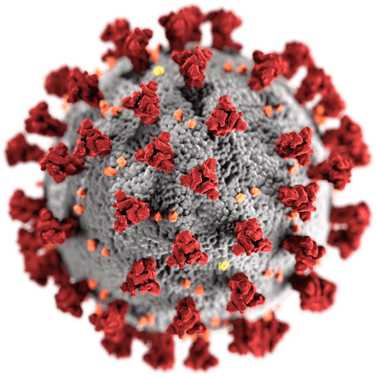 Coronavirus