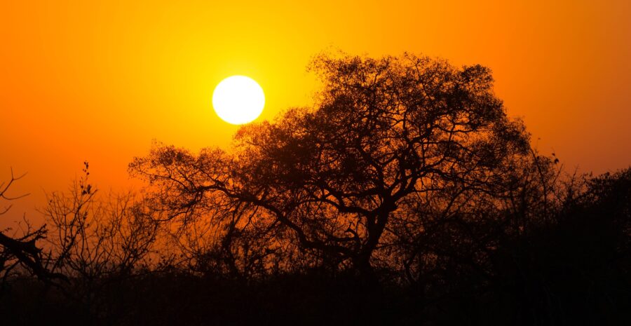 kruger national park sunrise. missing field ranger