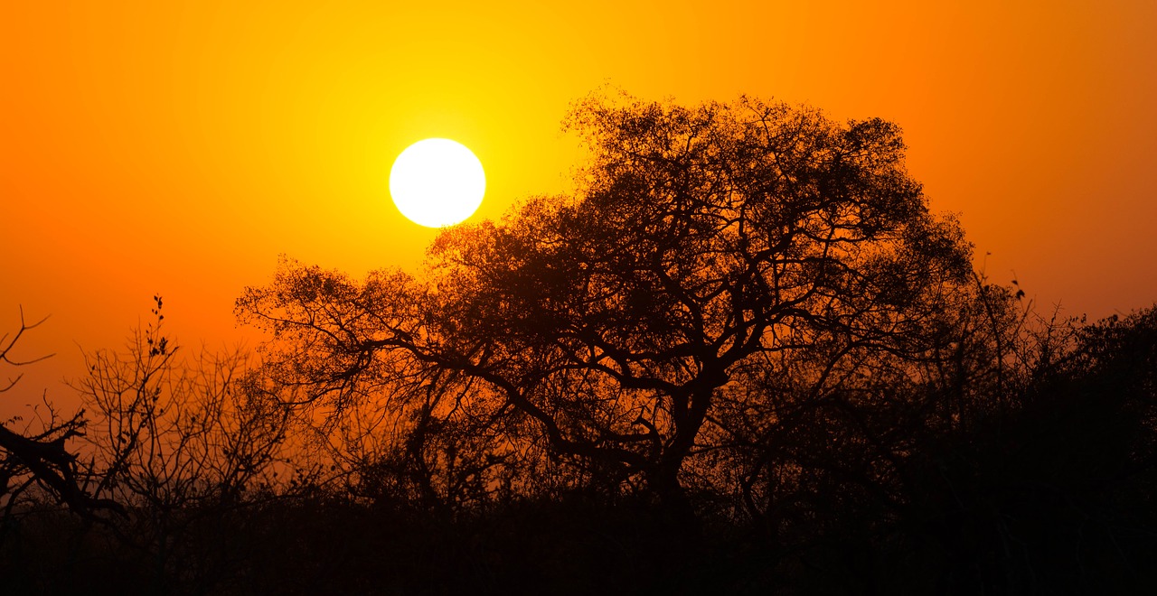 Missing man found Kruger National Park