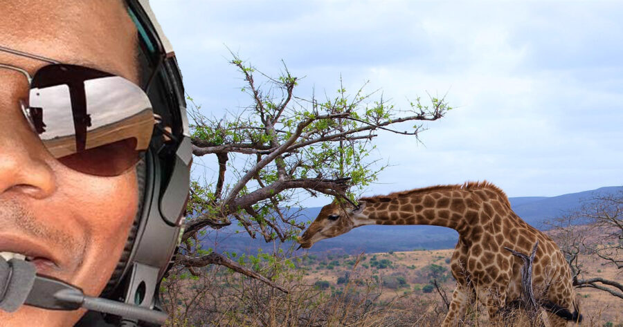 SANParks Celebrates South Africa's First Black Game Capture Pilot, Captain David Simelane