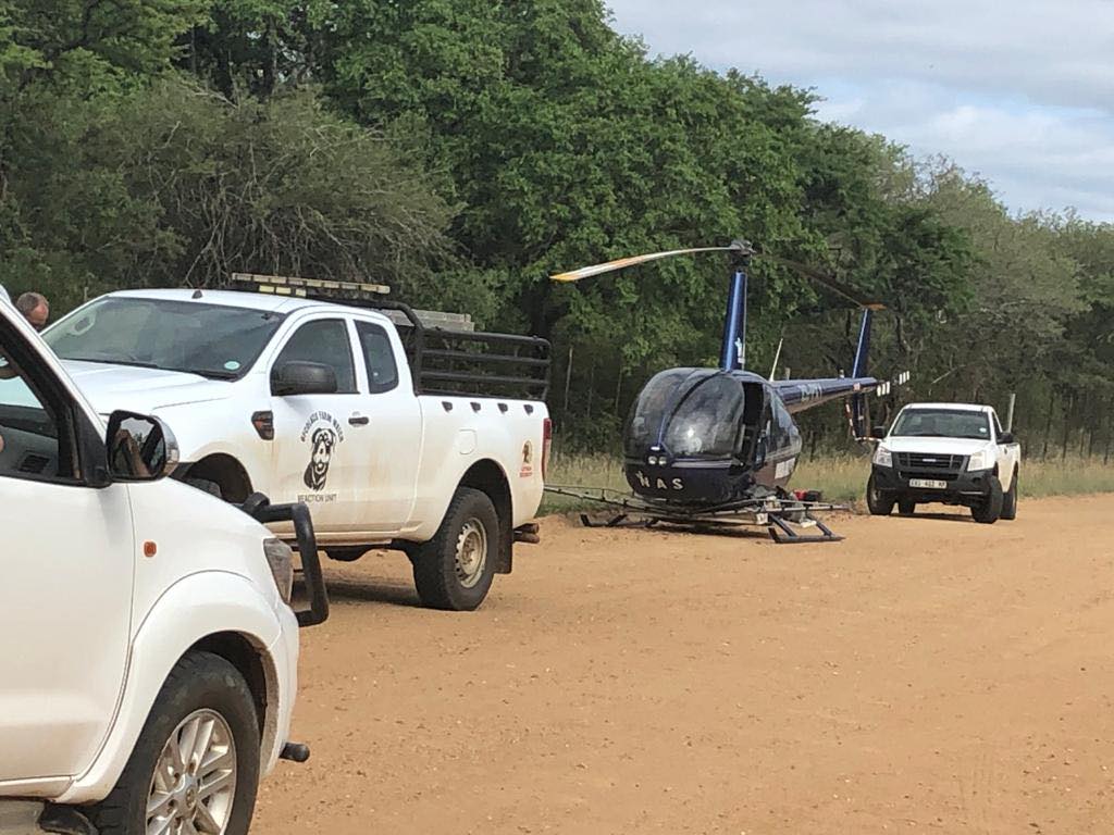 rhino poachers shoot out