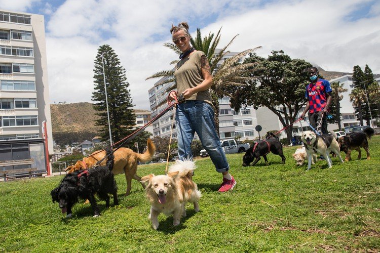 dog walkers cape town gup