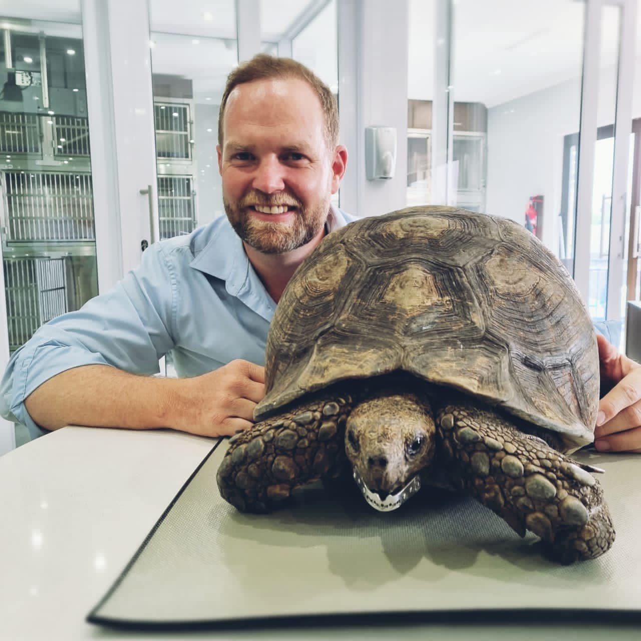 Vet Rebuilds Jaw of 30-Year-Old Tortoise with 3D Printer in South ...